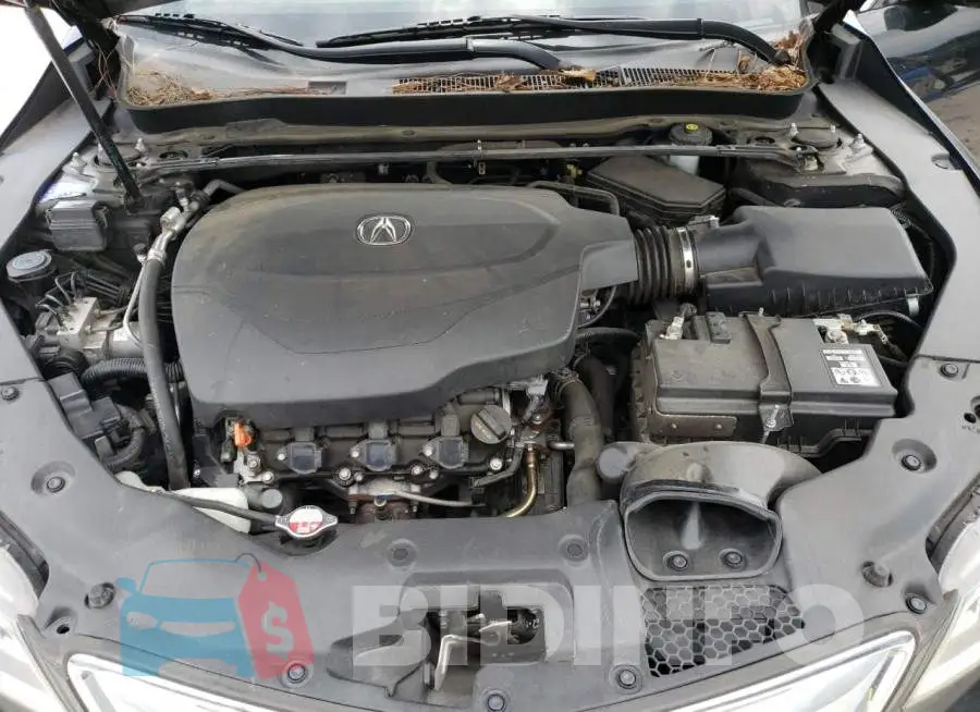19UUB2F53FA019141 Photo# 11