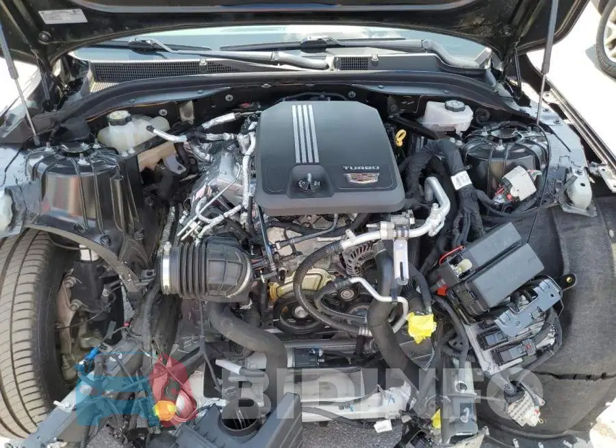 1G6DN5RK6L0128464 Photo# 11