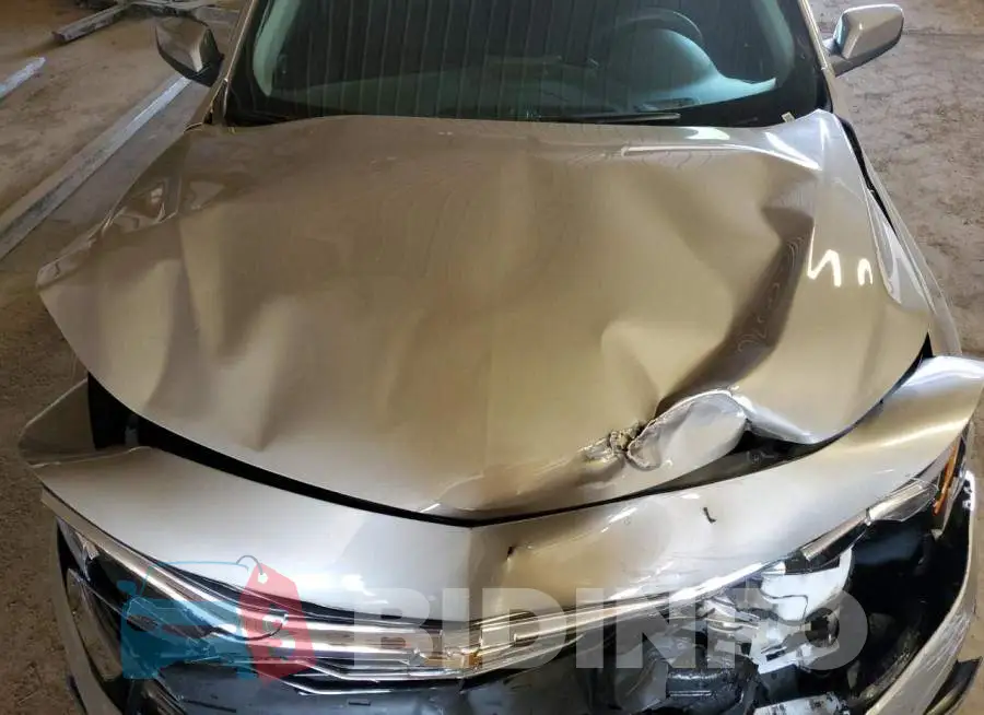 1G1ZD5ST5PF205572 Photo# 11