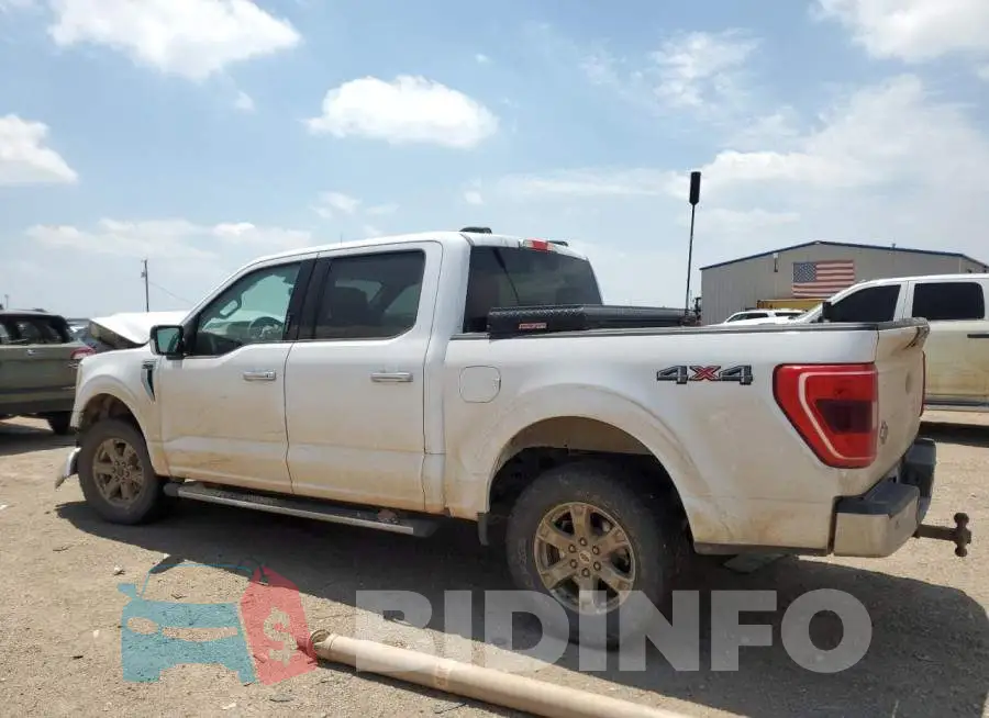 1FTFW1E53MKD21639 Photo# 2
