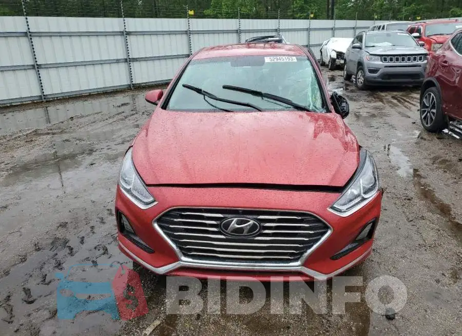 5NPE24AF3KH736303 Photo# 5