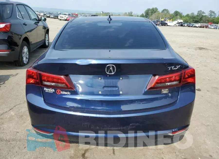 19UUB2F35FA004641 Photo# 6