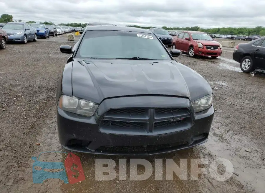 2C3CDXAT8EH173534 Photo# 5