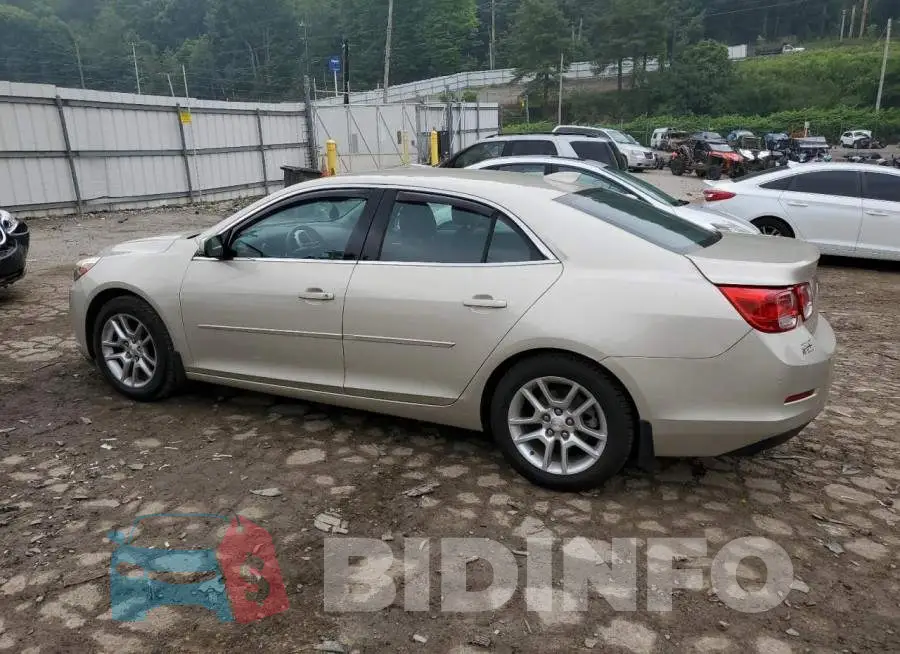 1G11C5SL1FF129573 Photo# 2