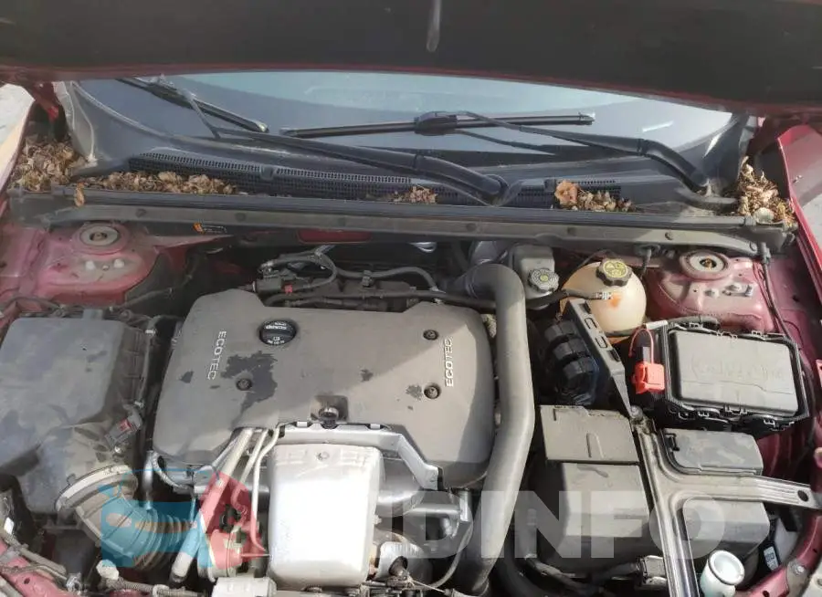 1G1ZH5SX8HF232385 Photo# 11