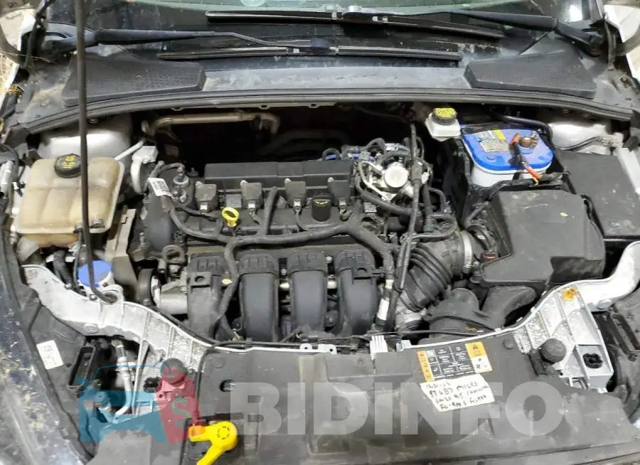 1FADP3H24HL240866 Photo# 11