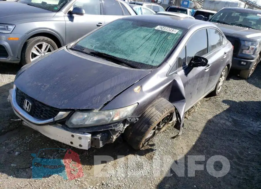 19XFB2F50FE707585 Photo# 1