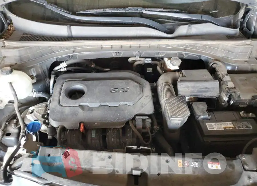 KNDPM3AC1L7761693 Photo# 11