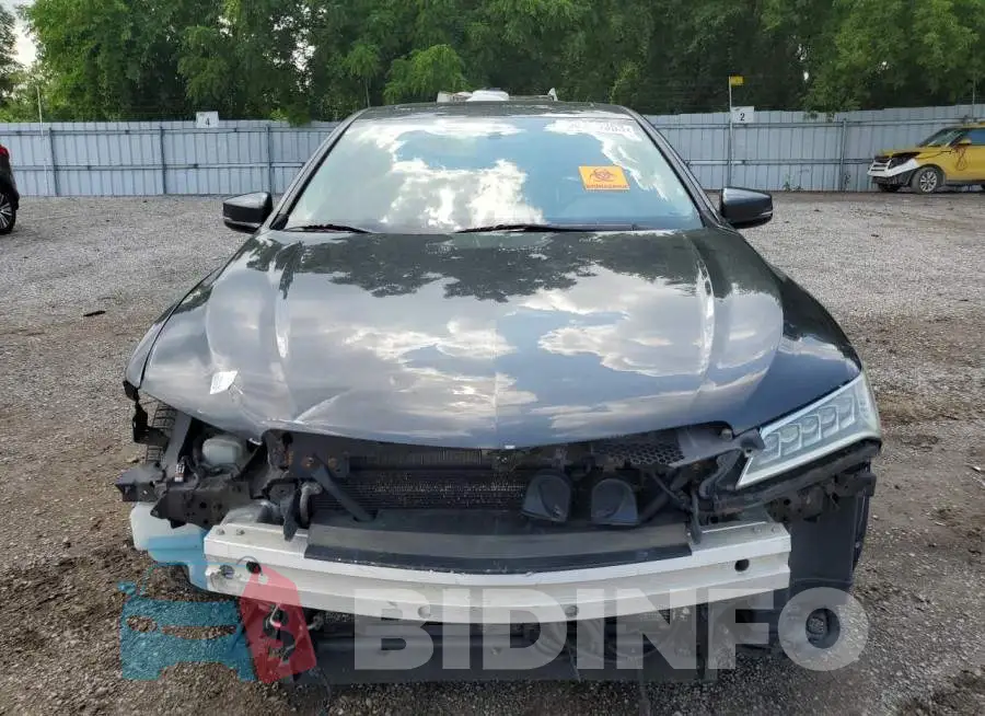 19UUB1F36FA800194 Photo# 5