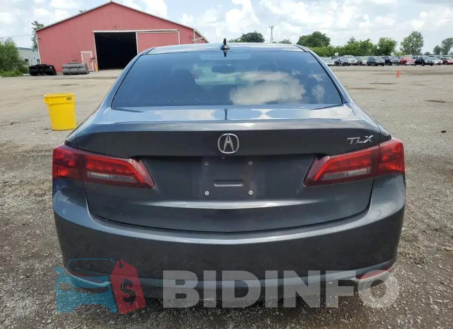 19UUB1F36FA800194 Photo# 6