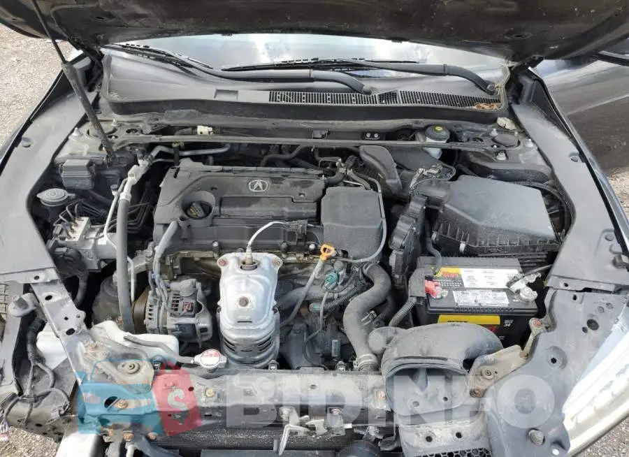 19UUB1F36FA800194 Photo# 11