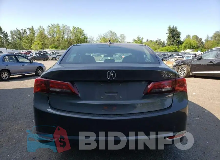 19UUB1F56FA009147 Photo# 6