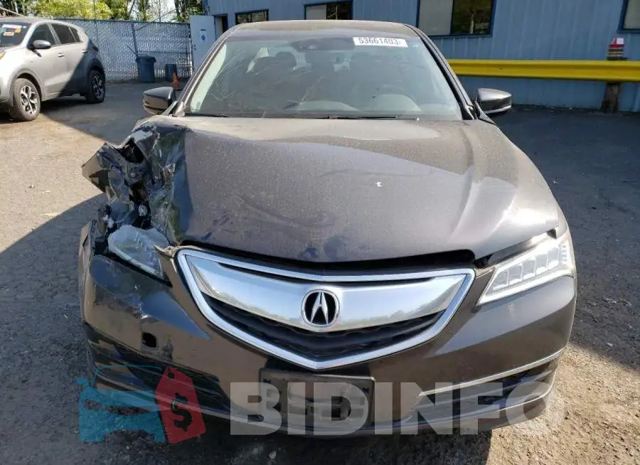 19UUB1F56FA009147 Photo# 11