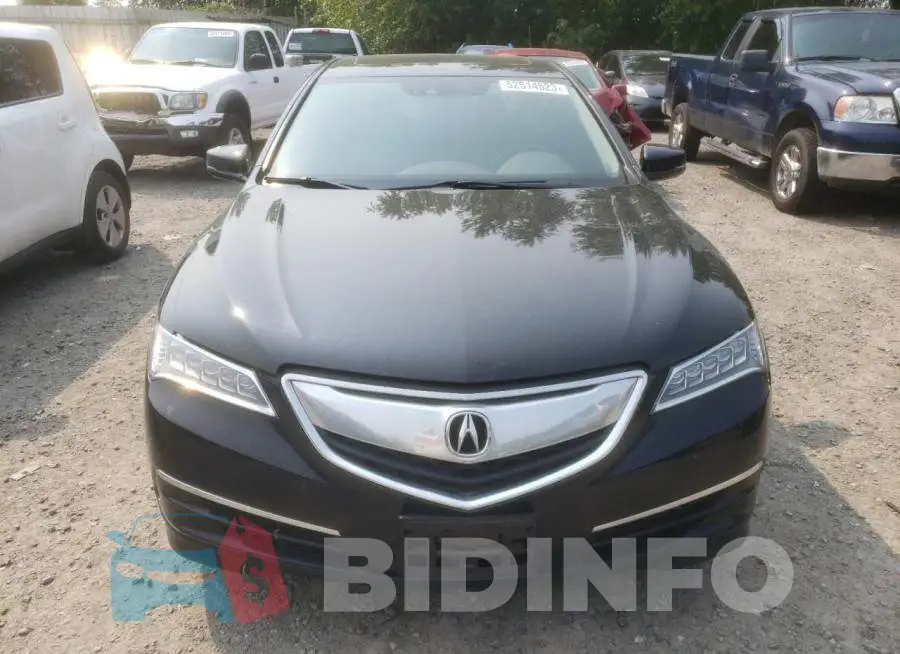 19UUB2F51FA014195 Photo# 5