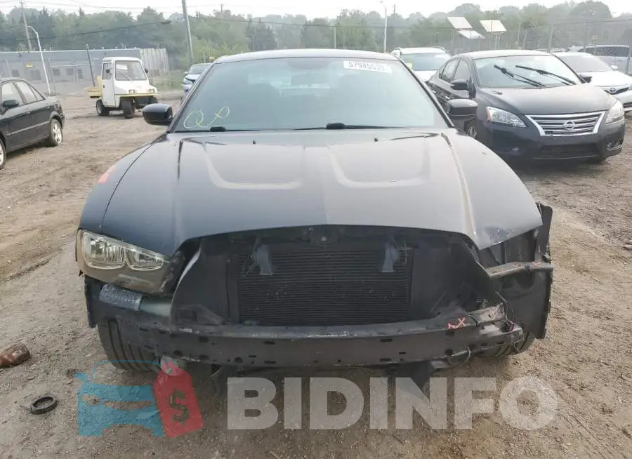 2C3CDXBG2EH269015 Photo# 5