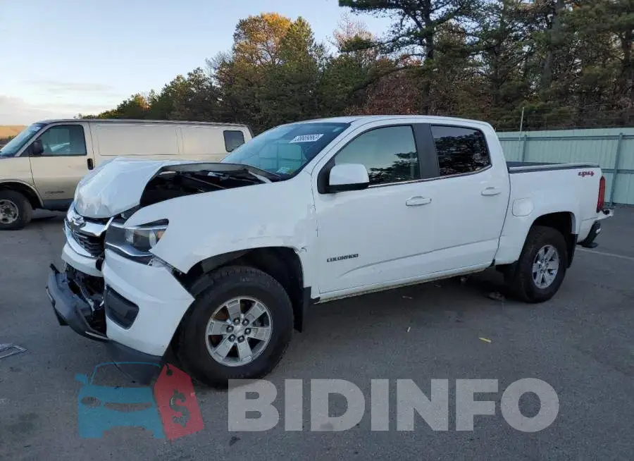 1GCGTBEN7L1151681 Photo# 1
