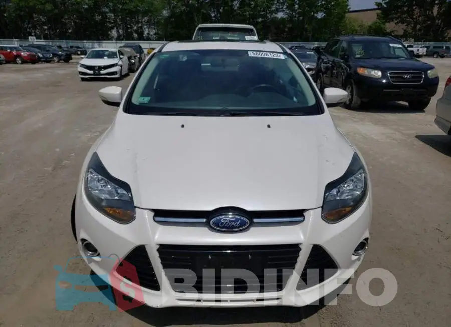 1FADP3J26EL231933 Photo# 5