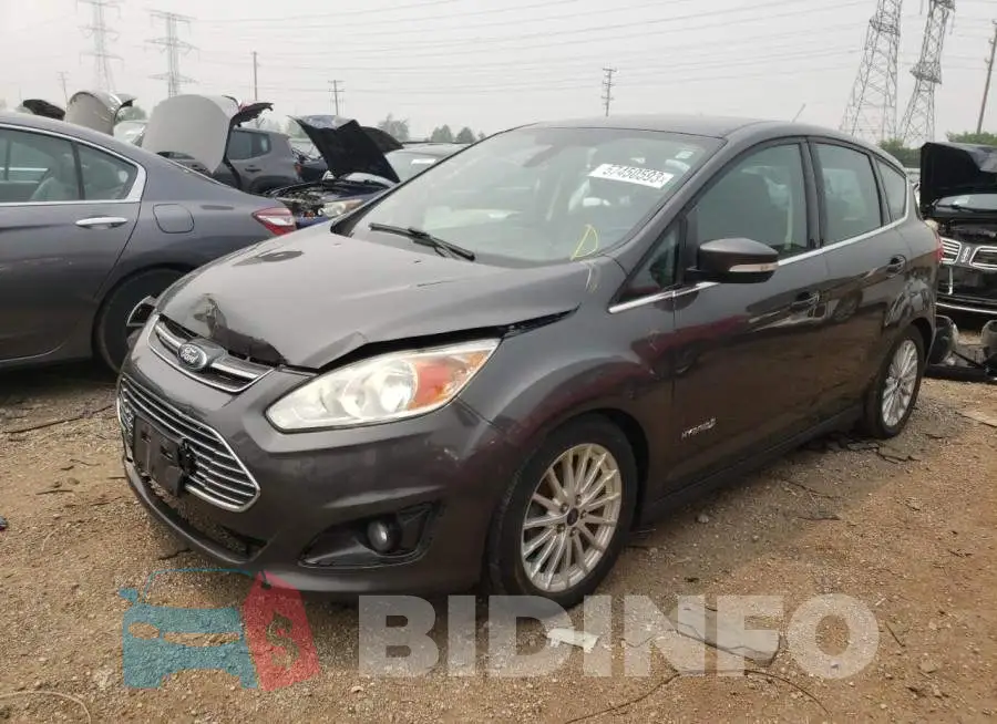 1FADP5BU6FL124331 Photo# 1