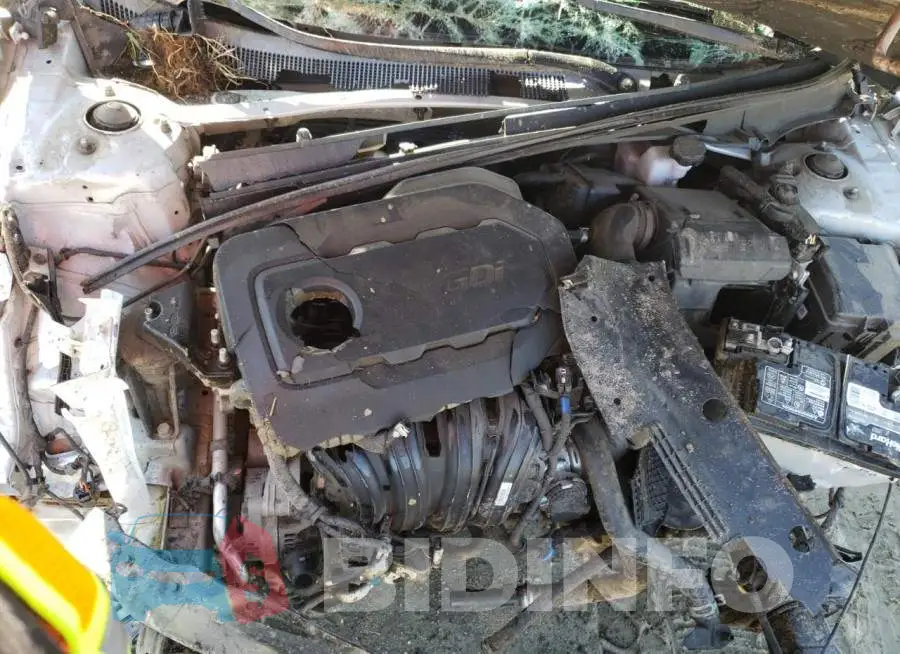 5NPE24AFXKH788334 Photo# 11