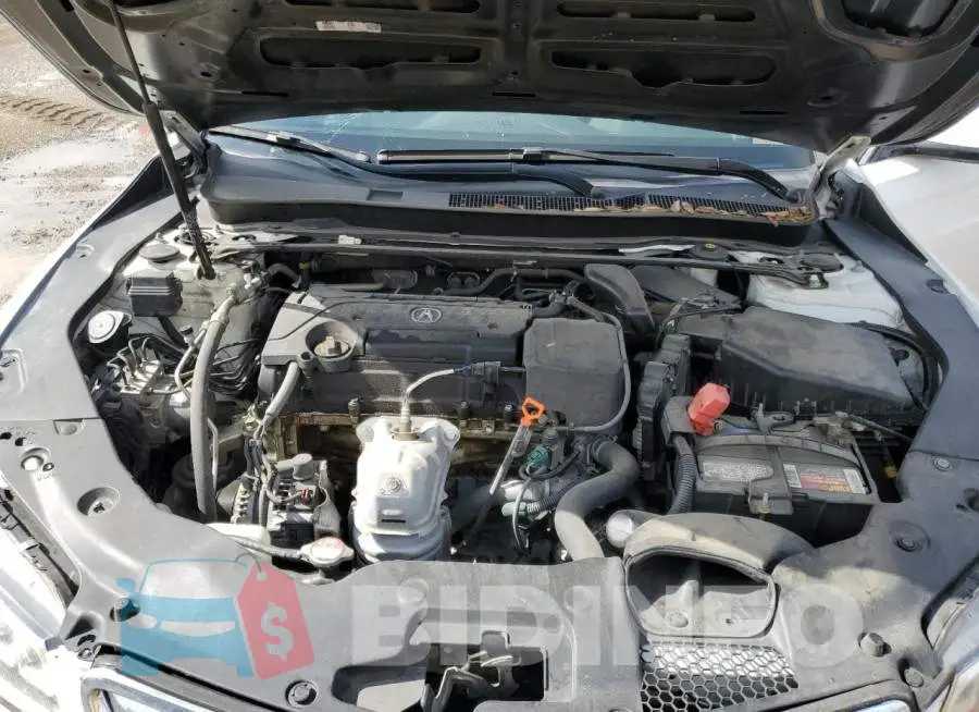 19UUB1F37HA005447 Photo# 11