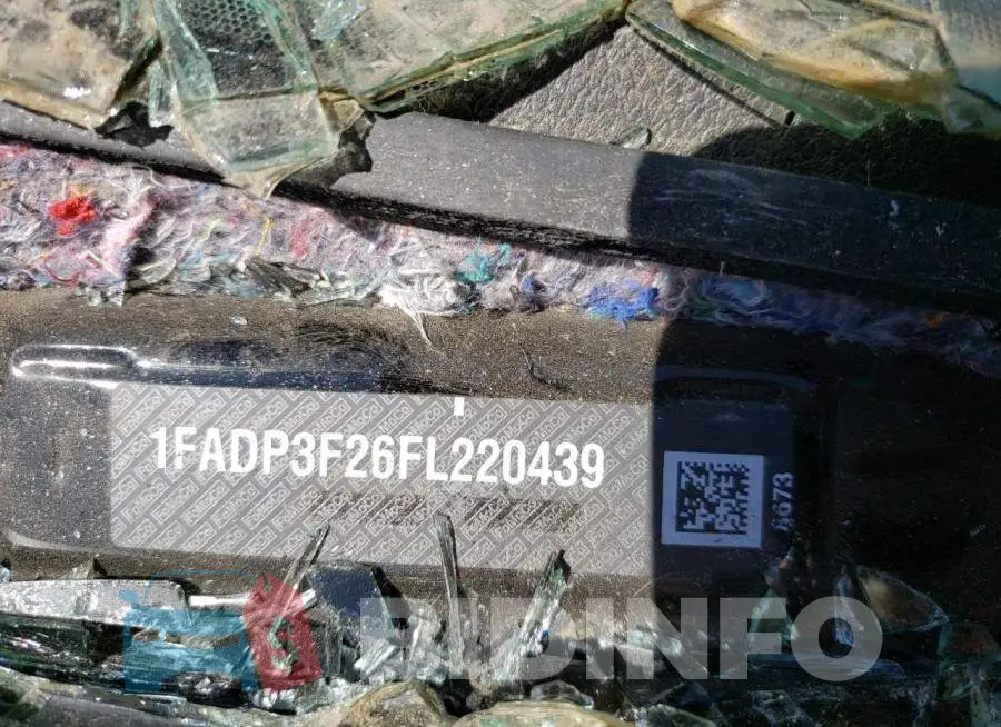 1FADP3F26FL220439 Photo# 13