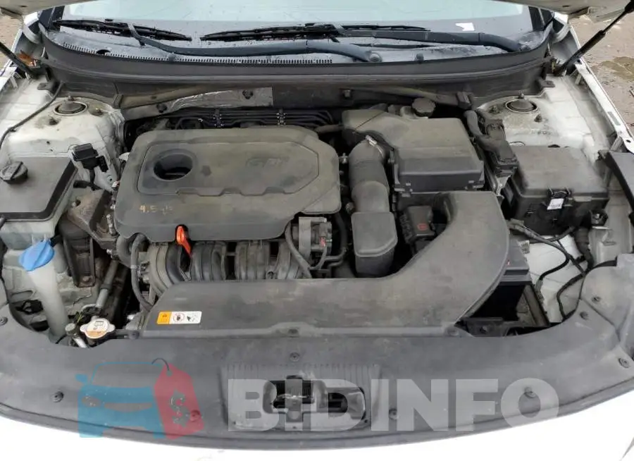 5NPE24AF5FH147792 Photo# 11