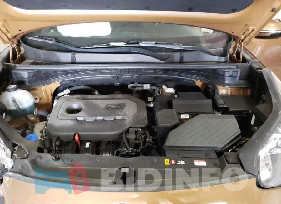 KNDP63AC2L7709127 Photo# 12