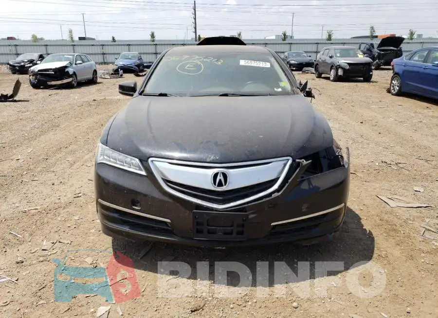 19UUB1F34FA023028 Photo# 5