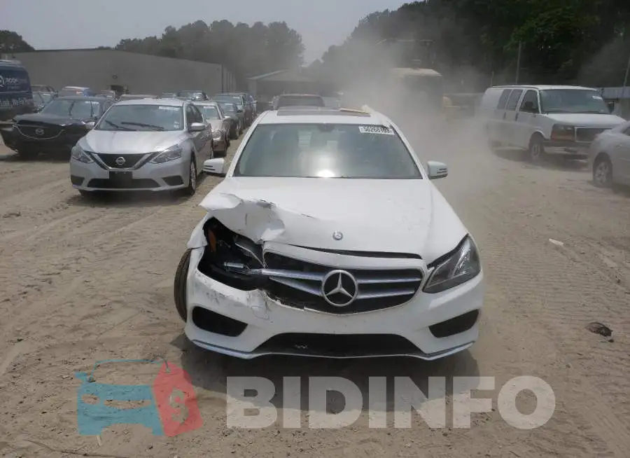 WDDHF8JB5FB124543 Photo# 5