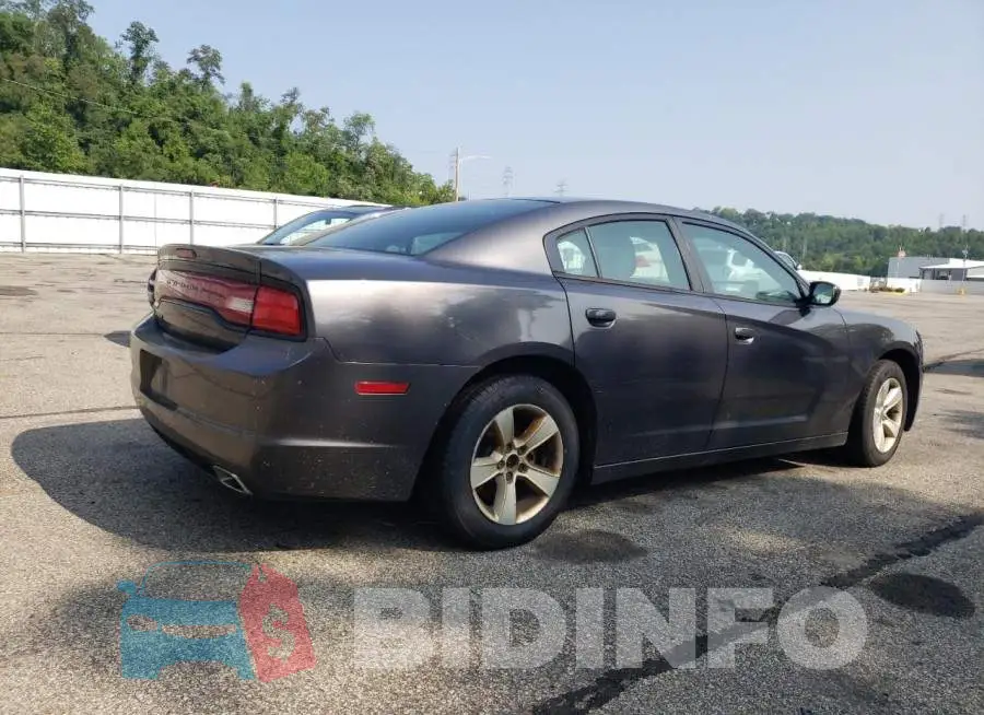 2C3CDXBG8EH150272 Photo# 3