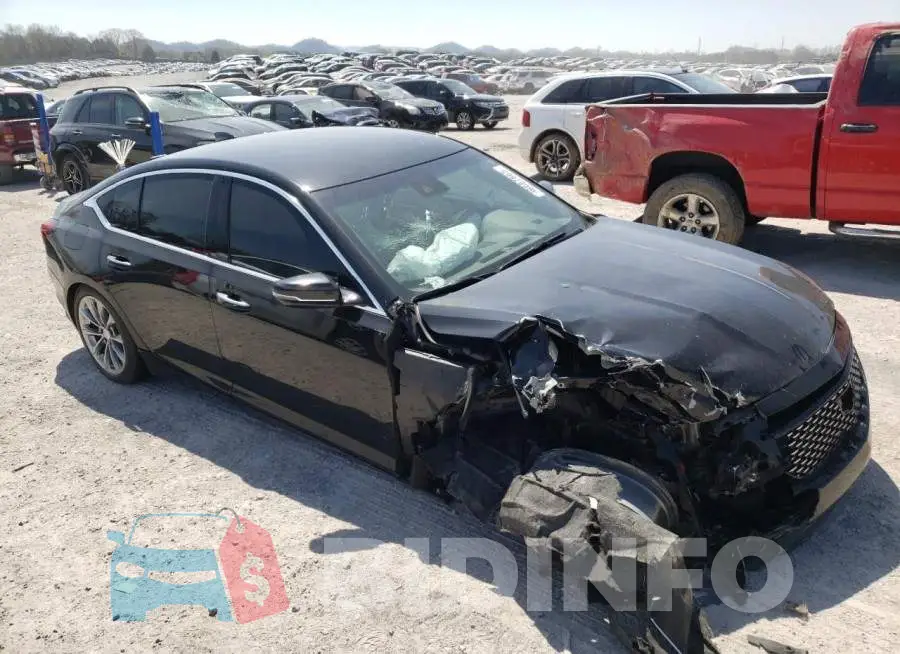 1G6DN5RK8L0131365 Photo# 4