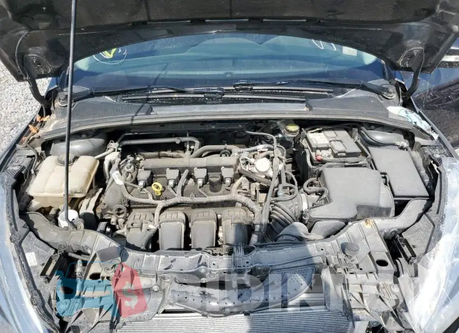 1FADP3F20GL397179 Photo# 11