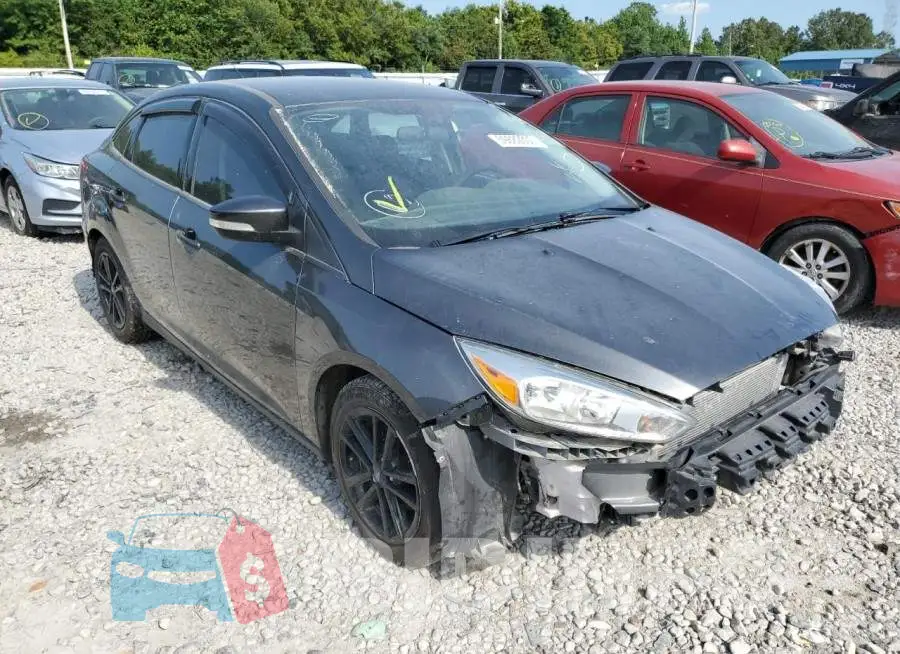1FADP3F20GL397179 Photo# 4