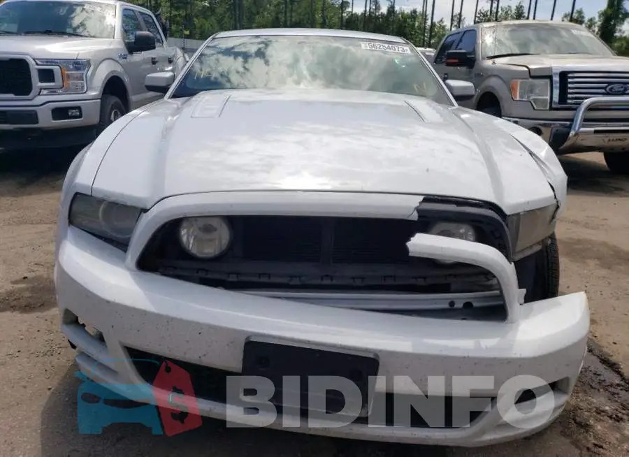 1ZVBP8CFXE5263204 Photo# 5