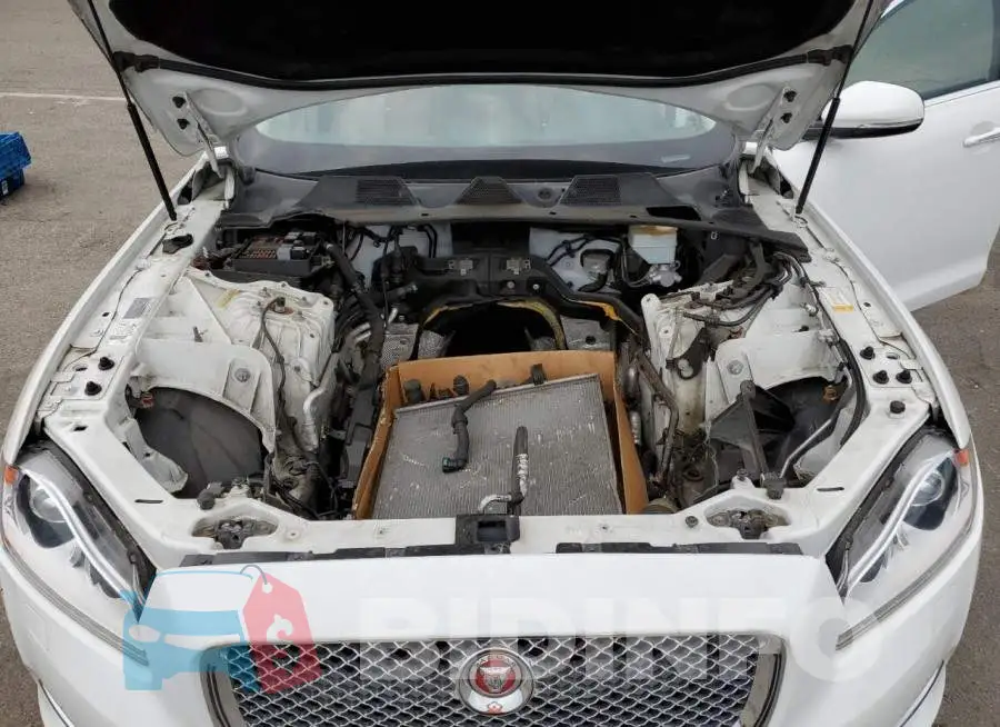 SAJXJ1CD7F8V80536 Photo# 11