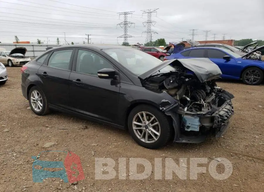 1FADP3F21GL244455 Photo# 4