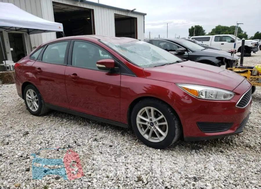 1FADP3F22GL229933 Photo# 4
