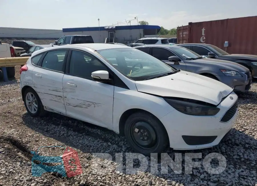 1FADP3K21FL249322 Photo# 4