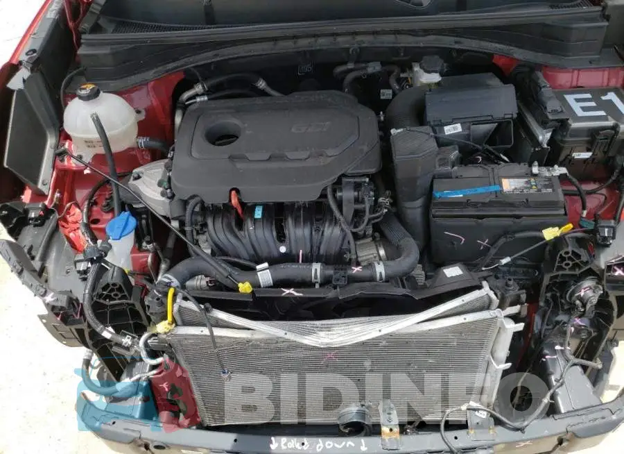 KNDPM3AC3N7028399 Photo# 12