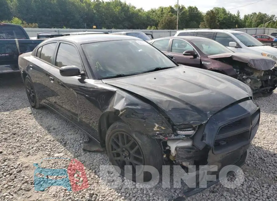 2C3CDXAT3EH172176 Photo# 4