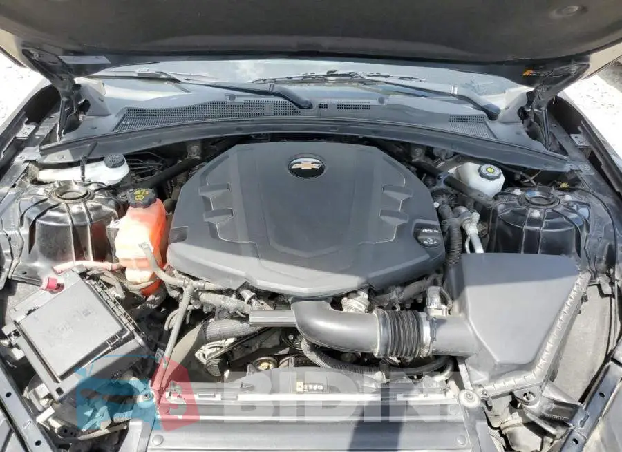1G1FB1RSXK0108104 Photo# 11