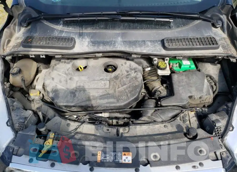 1FMCU9G9XHUB24819 Photo# 12