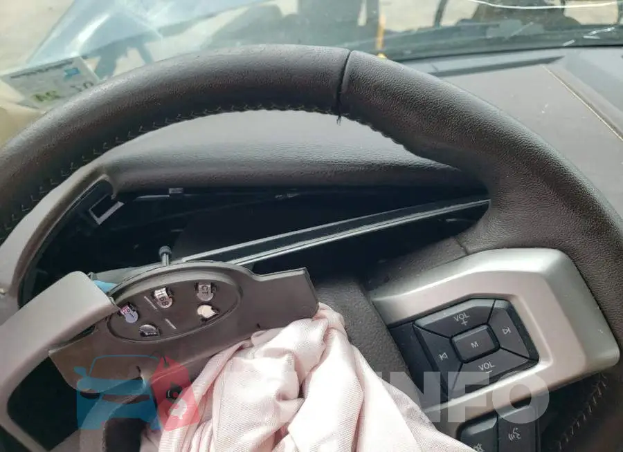 1FTEW1C52LKE55068 Photo# 9