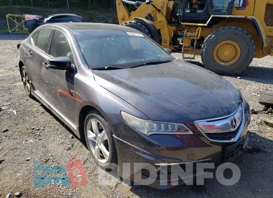 19UUB1F53FA003726 Photo# 4