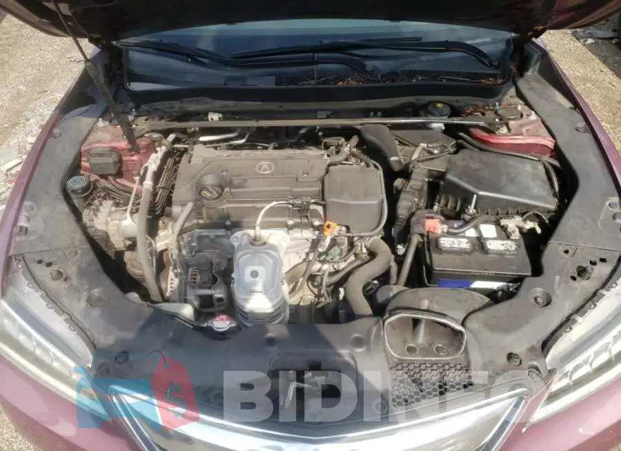 19UUB1F56FA024571 Photo# 11