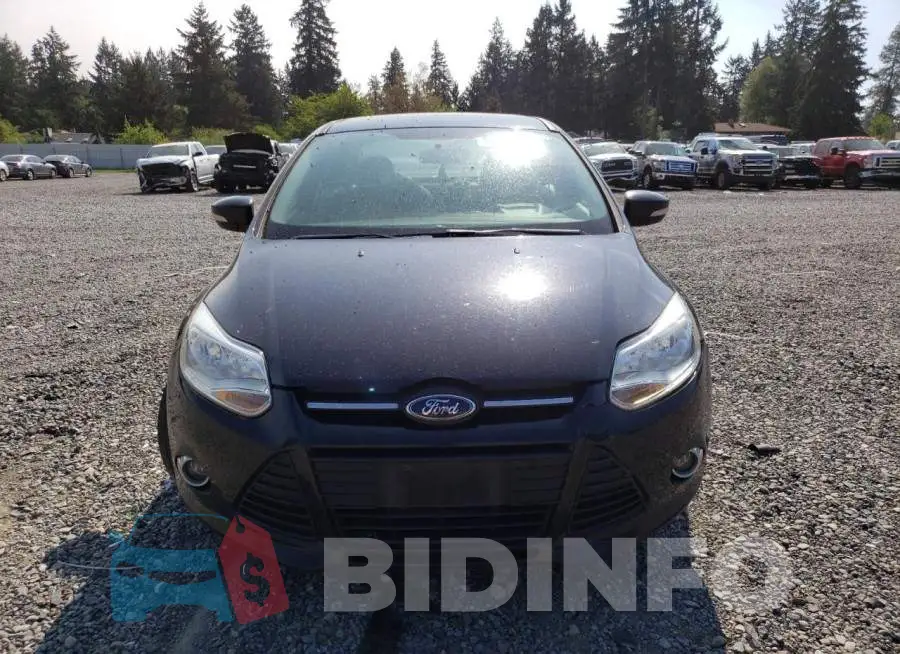 1FADP3F24EL169165 Photo# 5