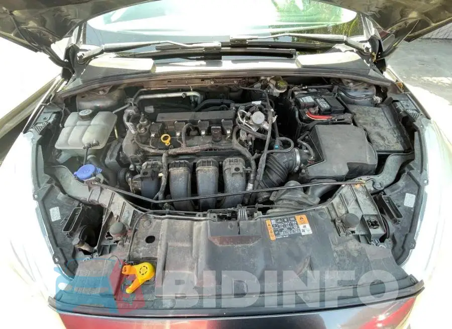 1FADP3F29GL338132 Photo# 7