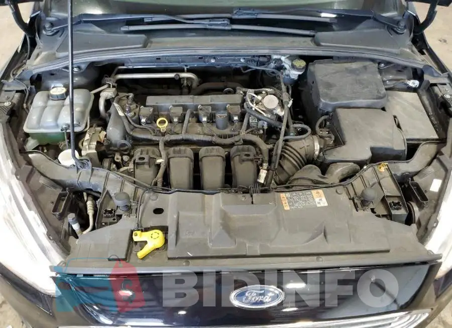 1FADP3K2XGL338212 Photo# 11