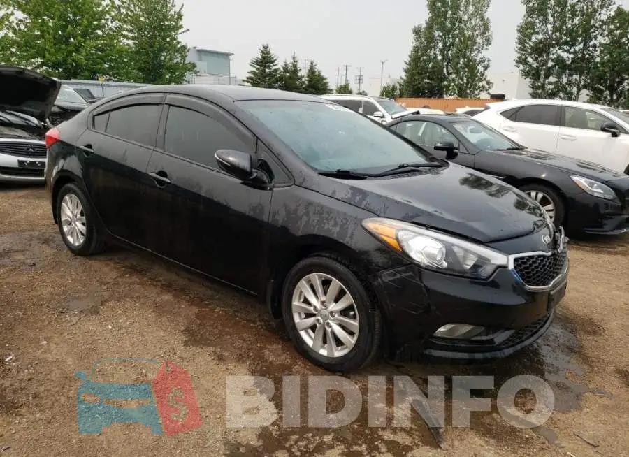 KNAFX4A60E5252452 Photo# 4