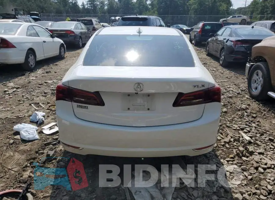 19UUB1F53GA004067 Photo# 6